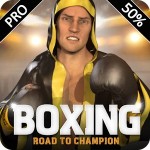 Boxing – Road To Champion Pro Imperium Multimedia Games