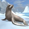 Sea Lion Simulator WildFoot Games