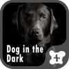 無料壁紙-Dog in the Dark-きせかえ・アイコン [+]HOME by Ateam