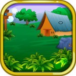 Escape Games – Jungle
Life Escape Game Studio