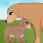 犬の妊娠ゲーム2 NetApps