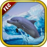 Escape Games Antarctic
Dolphin Escape Game Studio