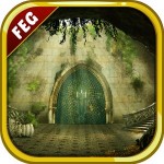 Fantasy Forest Cave
Escape Escape Game Studio