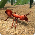 Fire Ant Simulator WildFoot Games