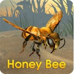 Honey Bee Simulator WildFoot Games