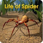 Life of Spider WildFoot Games