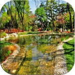 Tile Puzzle – Turkey
Gardens TAMCO