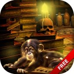 Escape Games – Magician
Monkey Escape Game Studio