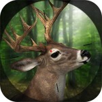 Sniper Hunter 3D i6Games