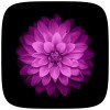 IOS – iPhone 7ライブ壁紙 HD Live Wallpaper Developer