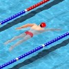 Swimming Race 2016 BOX10.COM