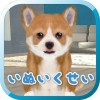 しあわせの犬育成ゲーム3D EikoMorozumi