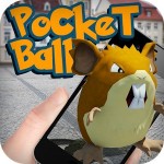 Pocket Ball GO Rapt Inc Games