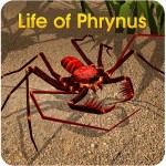 Life of Phrynus – Whip
Spider WildFoot Games
