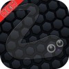 Invisible Skin for
Slither.io skin & guide games