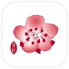 China Airlines App China Airlines Co, Ltd