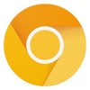 Chrome Canary（試験運用版） Google Inc.