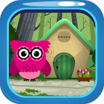 Pink Owl Rescue
Game-175 Best Escape Game