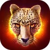 The Cheetah Swift Apps LTD