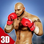 3Dボクシング – 実際のパンチ Integer Games