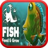 魚を育てて成長する feed fish and grow