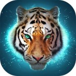 The Tiger Swift Apps LTD