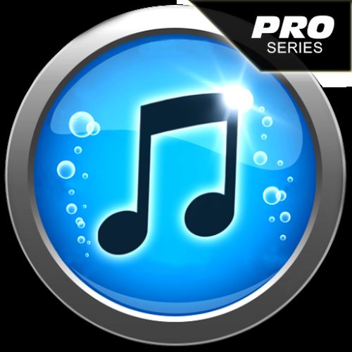 mp3 paradise pro download