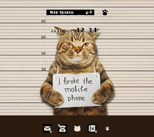 猫壁紙アイコン Cat Mug Shot 無料 Home By Ateam アプリクエスト Android アプクエ