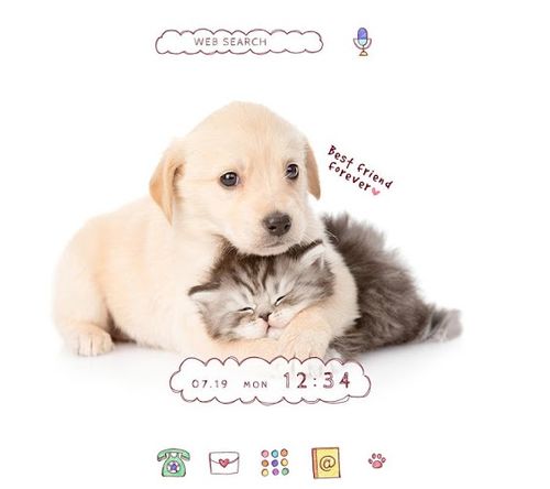 かわいい動物 壁紙アイコン レトリバーの子犬と子猫 無料 Home By Ateam アプリクエスト Android アプクエ