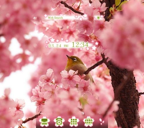 春壁紙アイコン 桜と小鳥 無料 Home By Ateam アプリクエスト Android アプクエ