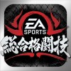 EA Sports 総合格闘技 Electronic Arts