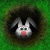Rabbit Hole Quest Easymonster