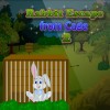 Rabbit Escape from Cage 2 Saravanan Manickam