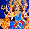 Maa Ambe Virtual Live Temple Hirakumar Patel