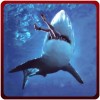 怒っているサメのリベンジアタック3D Gamerz Studio Inc.