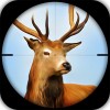 Sniper Game Deer Hunting i6Games