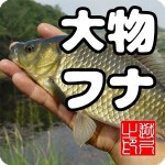 大物フナ　淡水ウキ釣りゲーム(日本版) NETSKY