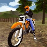 Offroad Stunt Bike Simulator i6Games