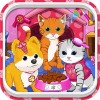 Cats and Dogs Grooming
Salon bwebmedia