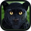 Wild Panther Sim 3D Turbo Rocket Games