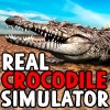 Real Crocodile
Simulator MiamiCrimeGames