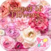 Carpet of
Flowers-無料着せ替えアプリ [+]HOME by Ateam