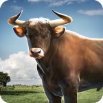 模擬雄牛 – Bull Simulator
3D WordsMobile