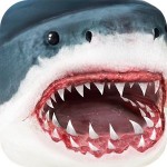 Ultimate Shark
Simulator Gluten Free Games
