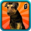 Street Dog Simulator
3D Tapinator, Inc. (Ticker: TAPM)