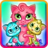 My Fluffy New Kitty Cat
2 Girl Games – Vasco Games
