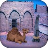 Escape Game – Desert
Camel Escape Game Studio