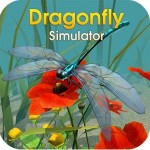 Dragonfly Simulator WildFoot Games