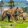 Tigers of the Forest WildFoot Games
