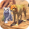 Cheetah Family Sim Area730